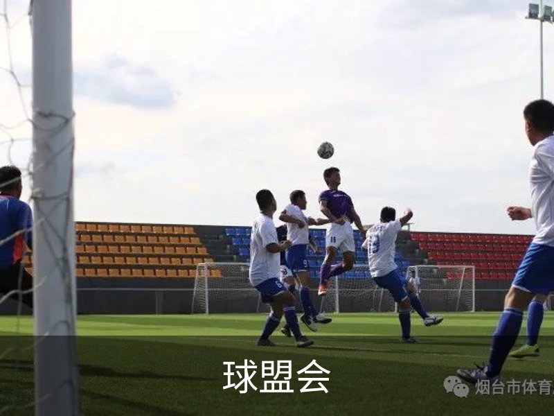 球盟会介绍
